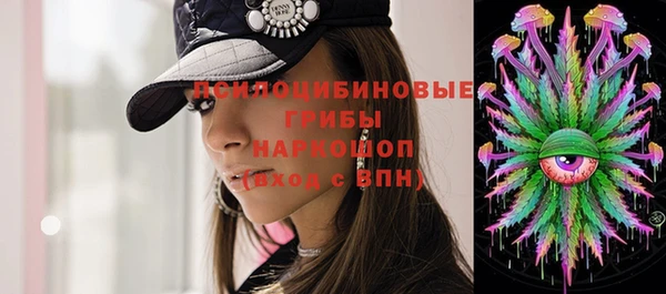 первитин Богородск