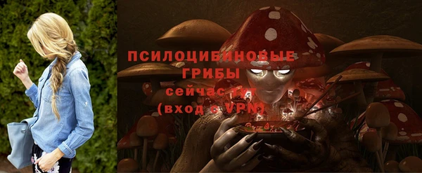 Альфа ПВП Богданович