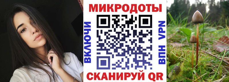 Купить закладки  Глазов  Галлюциногенные грибы Magic Shrooms 